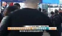 广州爆料最新新闻视频,视频揭露城市热点事件