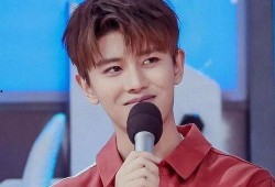 任嘉伦今日最新爆料资讯,揭秘演艺生涯背后的心路历程与未来规划